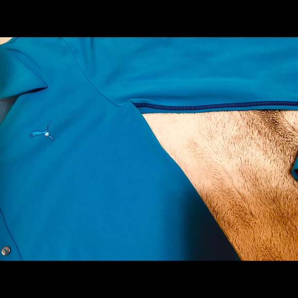 PUMA shirt/ medium/ like new - Picture 4 of 6